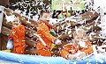 Bestandsnaam=20170226_avdk-80.jpg
Bestandsgrootte=128KiB
Afmetingen = 800x488
Datum toegevoegd = 28 feb 2017 20170226_avdk-80.jpg